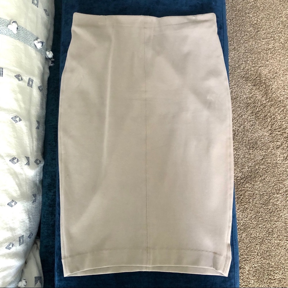 Aritzia Pencil Skirt